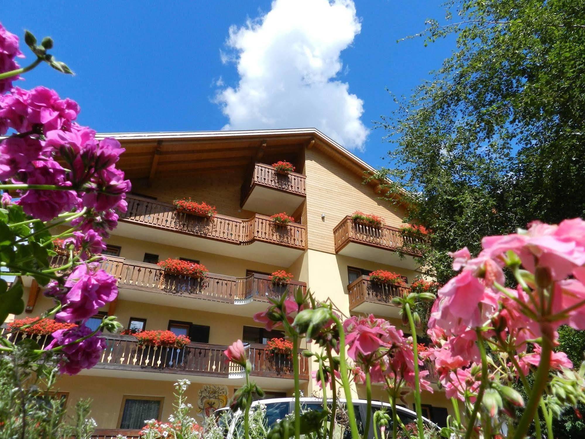 Cimon Dolomites Hotel Predazzo Esterno foto